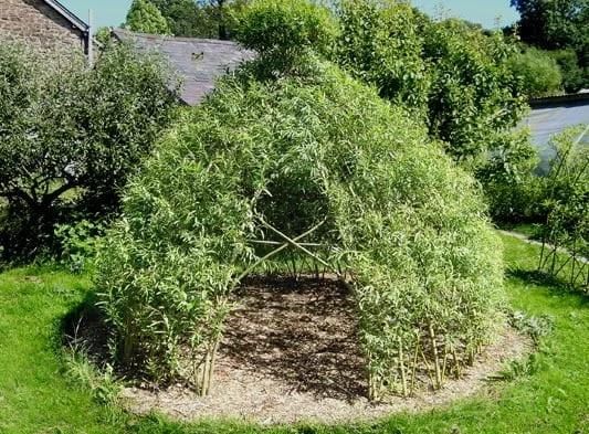 Willow Weaving 