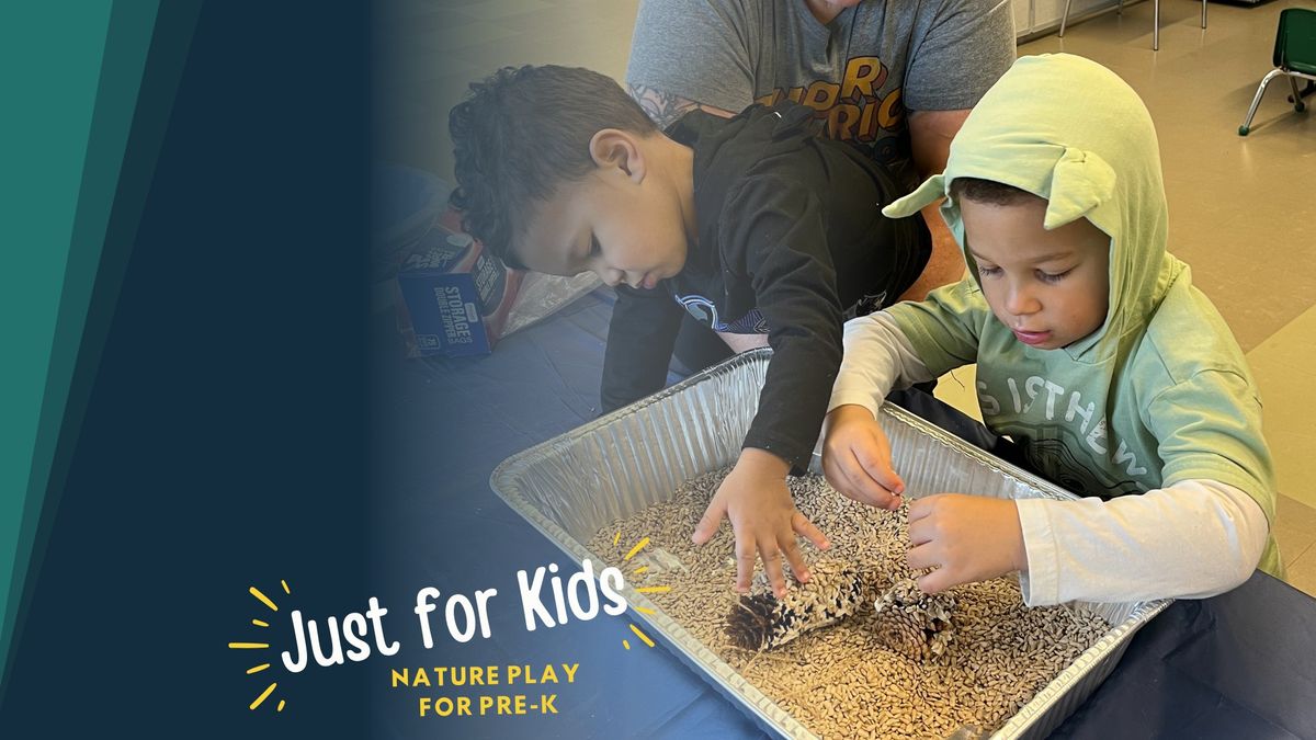 Nature Play for Pre-K