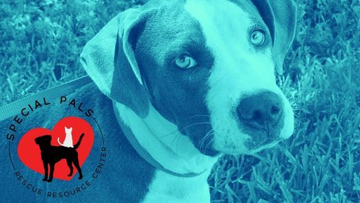 Grand Opening Celebration at Natural Pawz