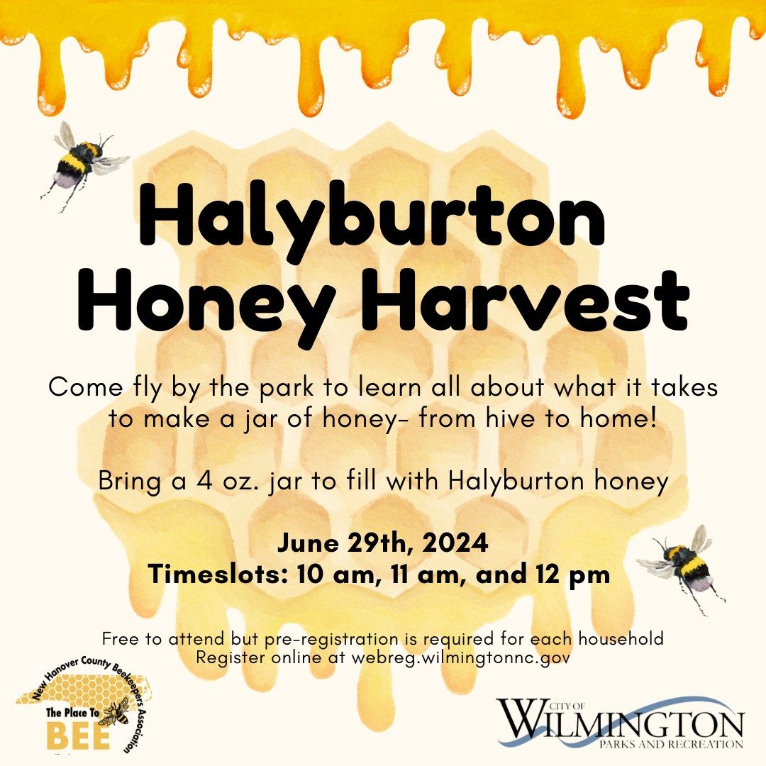 Honey Harvest at Halyburton Park