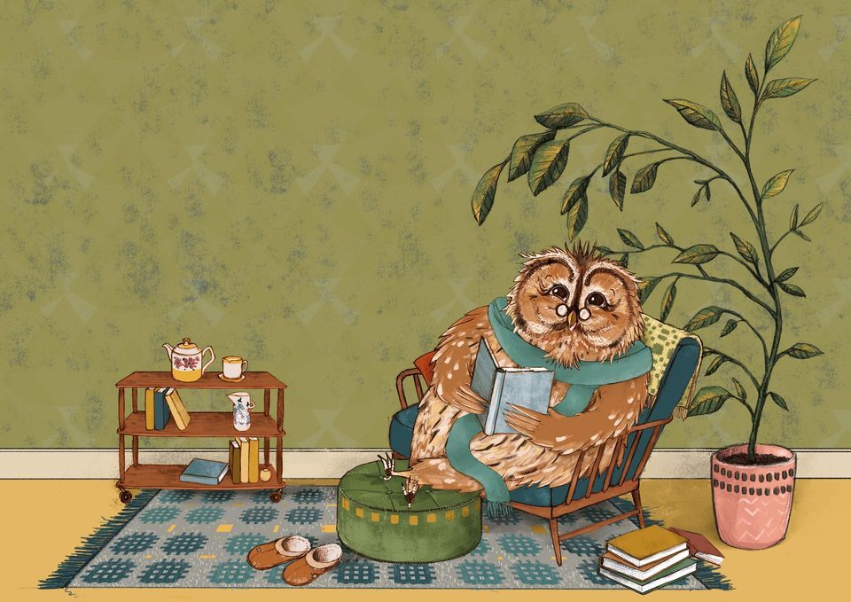 Owl at Home (Bristol)