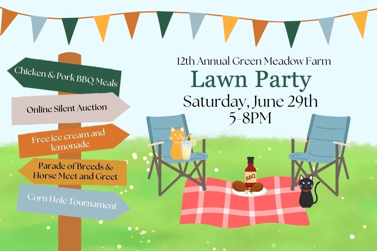 12th Annual Lawn Party!