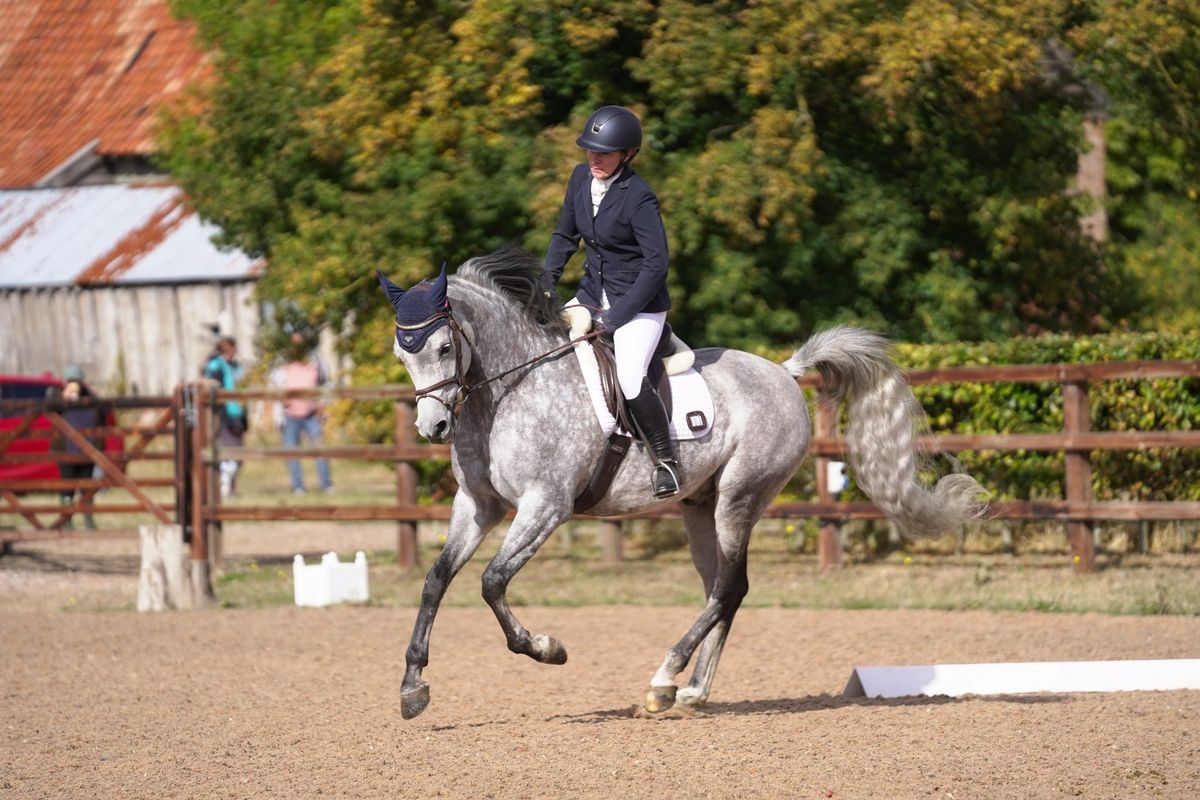 NSAHG Unaffiliated Dressage Show