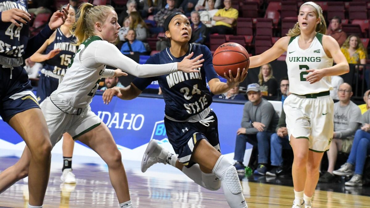 Northern Colorado Bears Women's Basketball vs. Montana State Bobcats