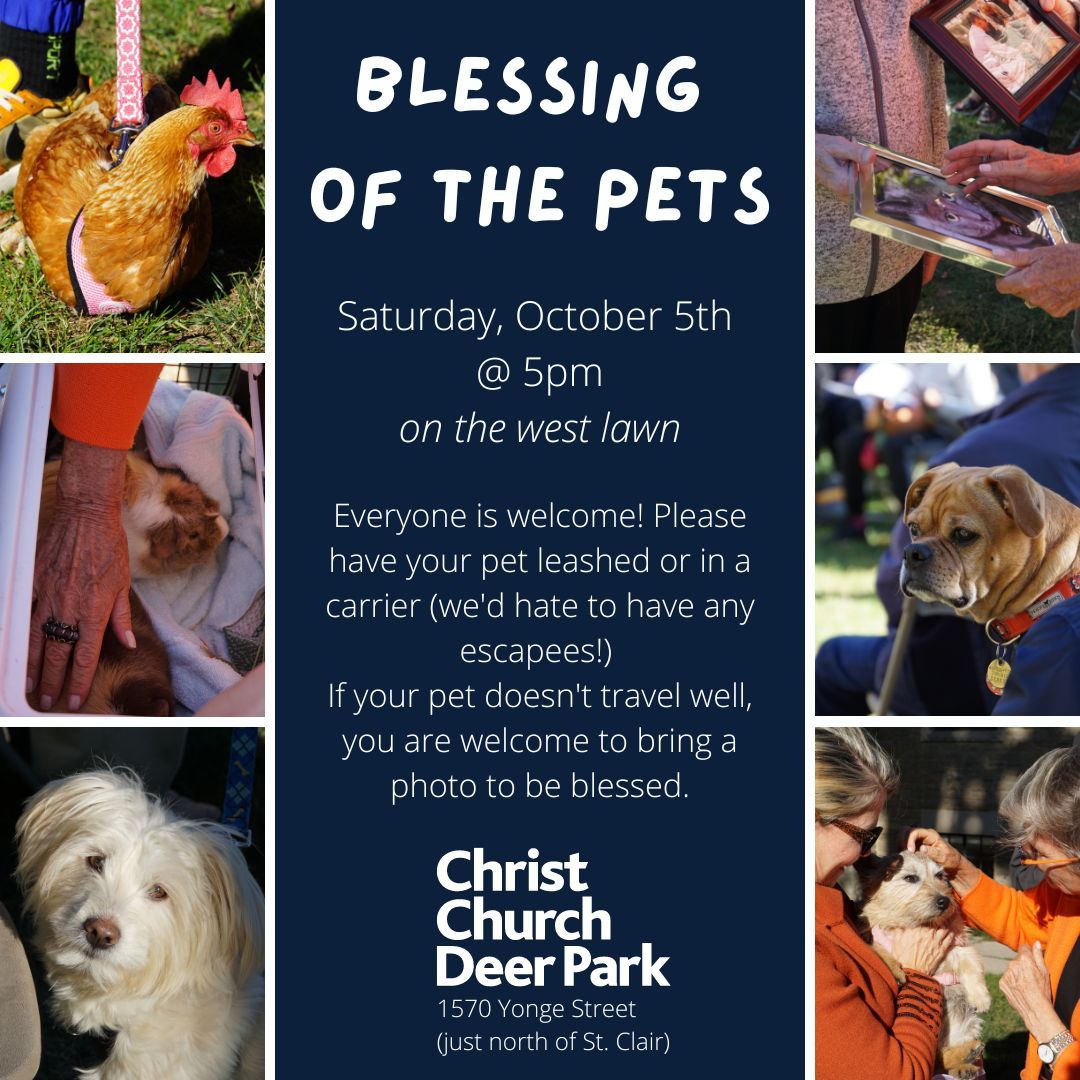 Blessing of the Pets