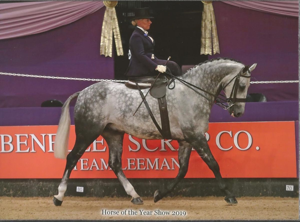 Have a Go Side Saddle Clinic by Penny Clark