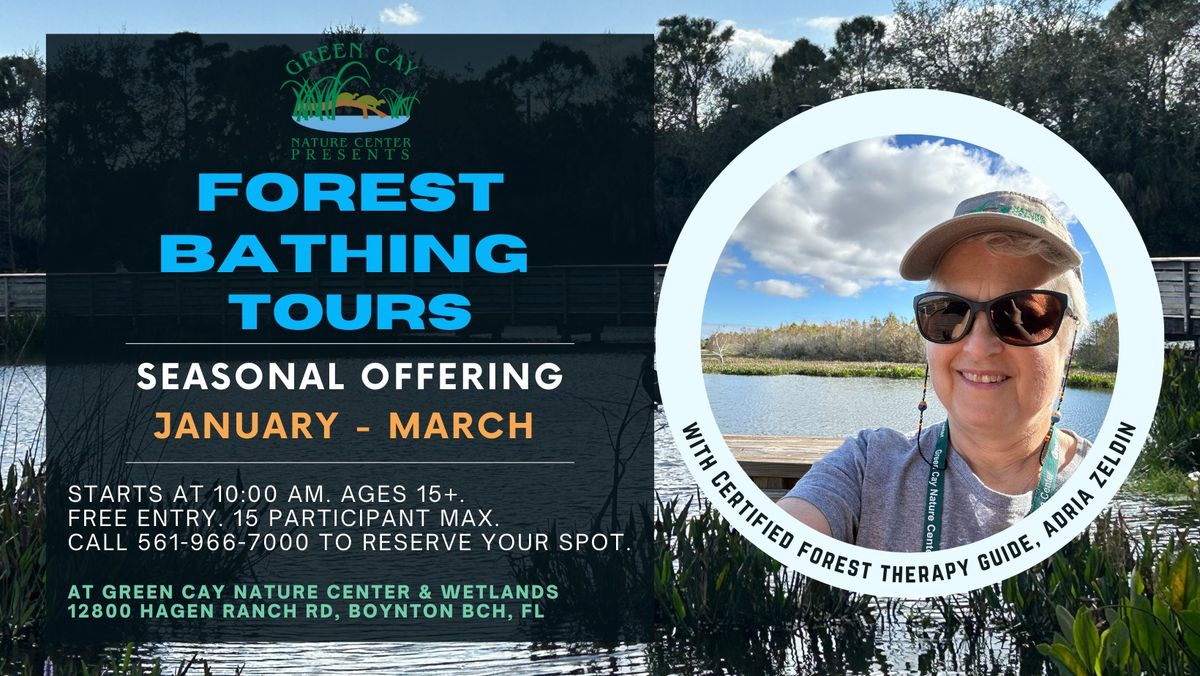 Forest Bathing at Green Cay Wetlands