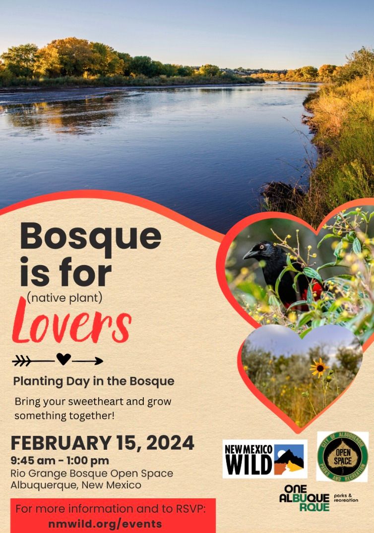 Bosque is for (Native Plant) Lovers: Planting Day in the Bosque