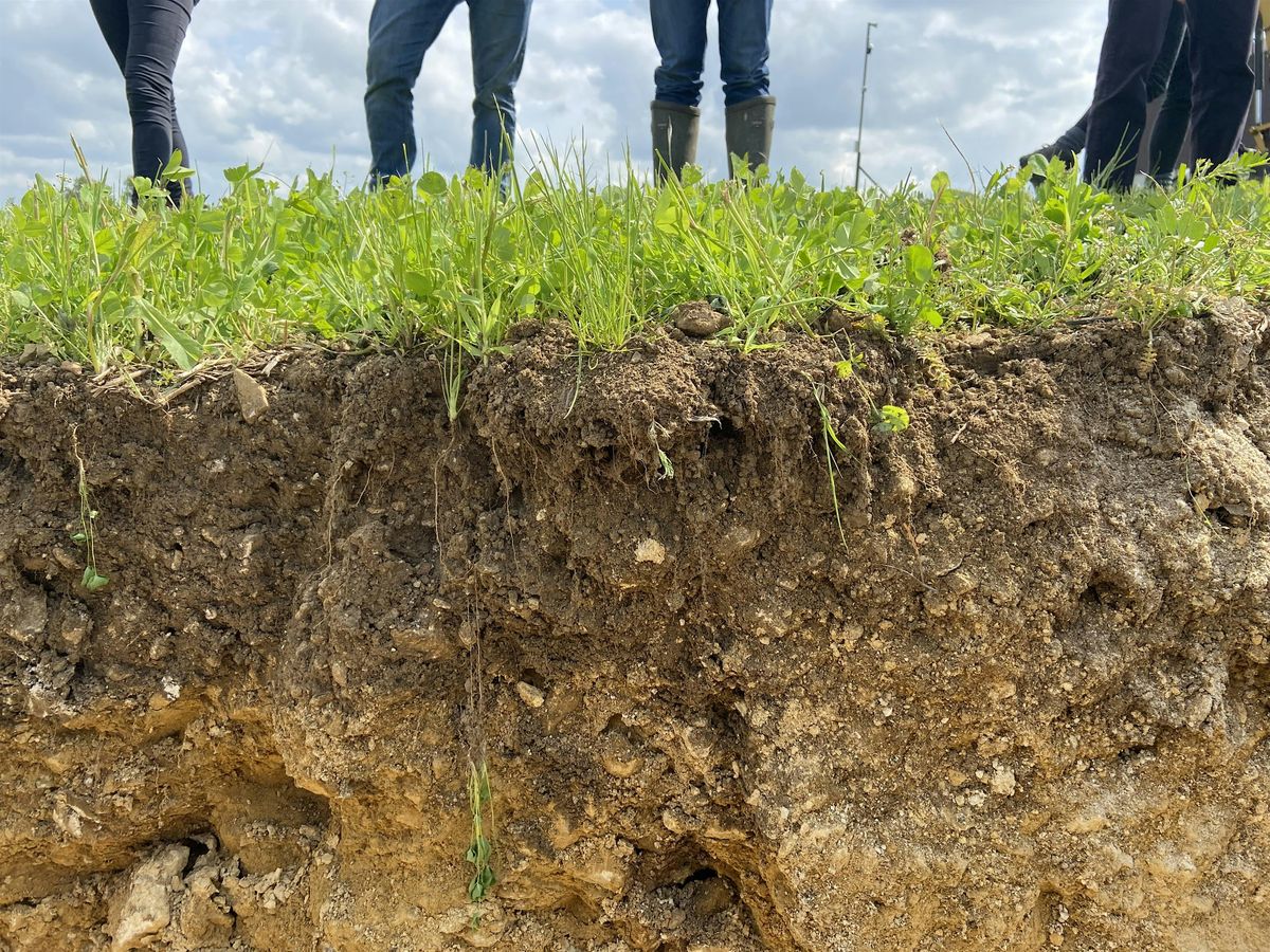 Getting more from the soil by putting in less?