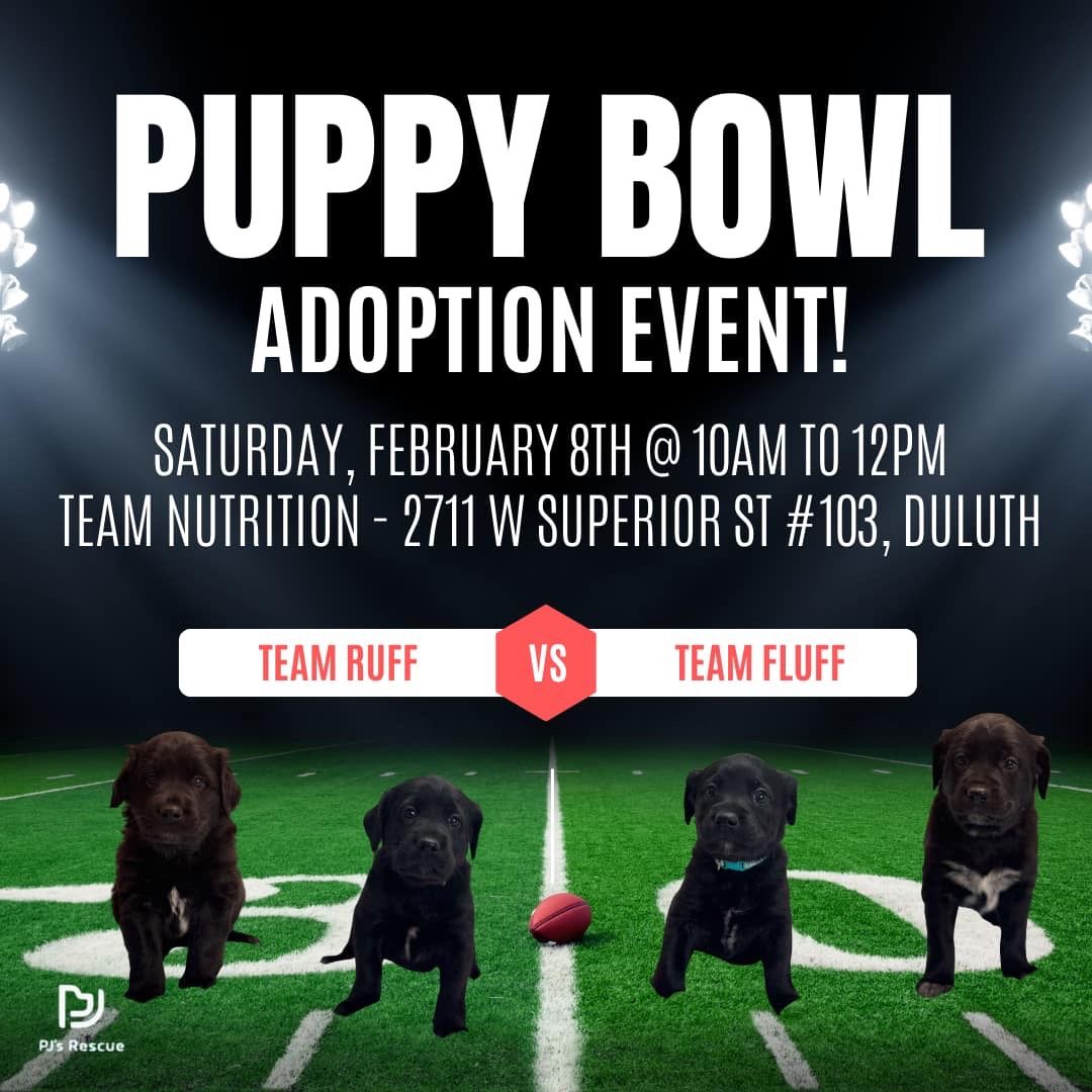 Puppy Bowl Adoption Event