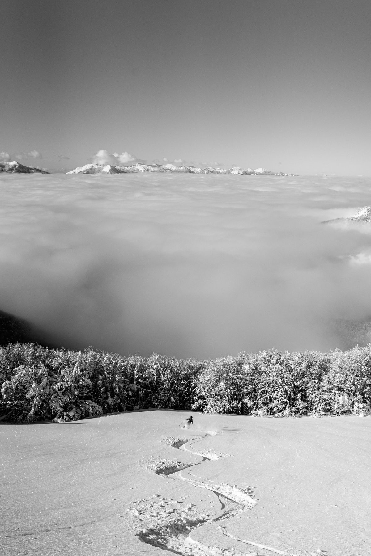 Corso Propedeutico allo scialpinismo - Tecnica di discesa Fuoripista - Modulo A