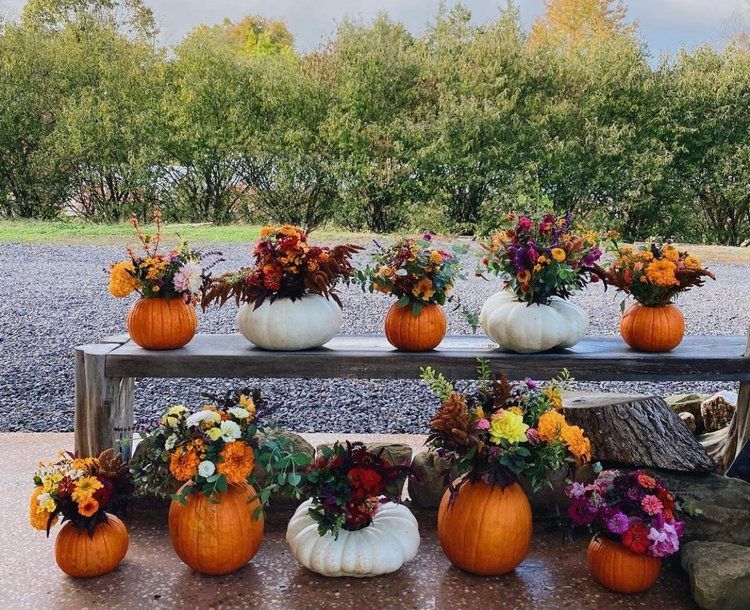 Pumpkin Thanksgiving Centerpiece Workshop with Denise Oorbeek