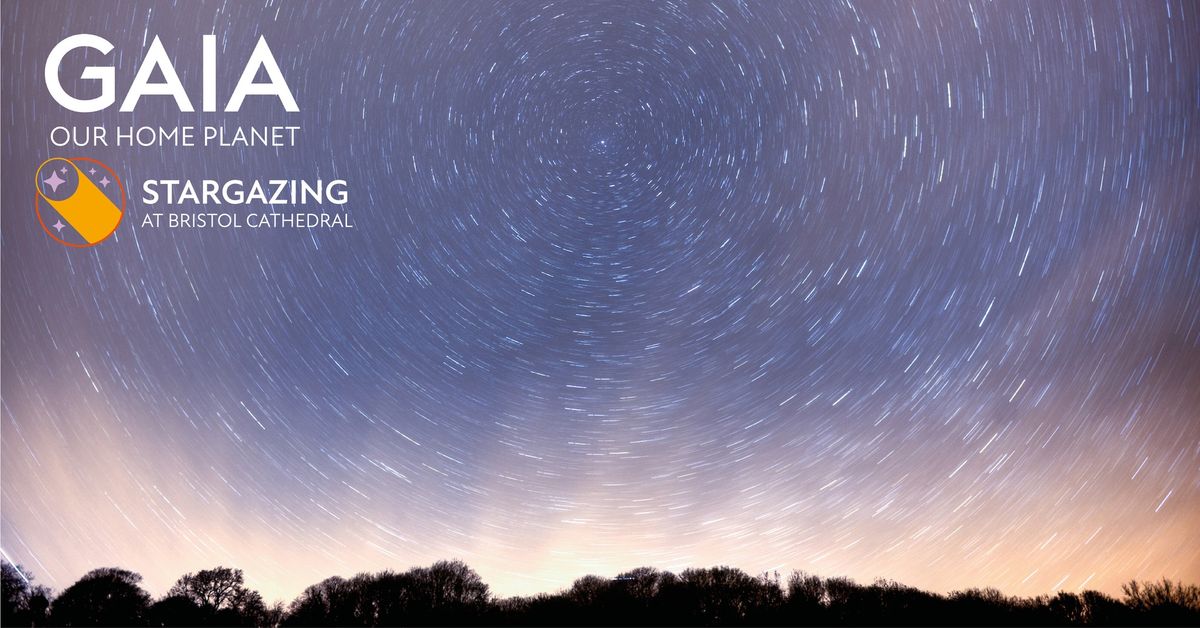 Stargazing at Bristol Cathedral