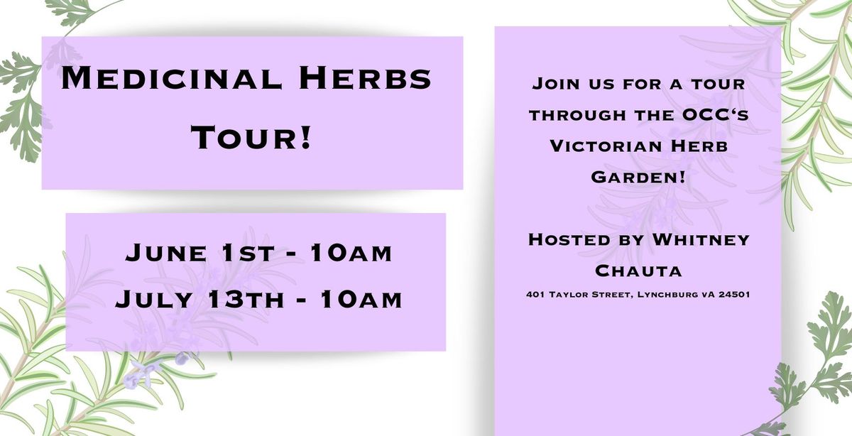 Medicinal Herbs Tour