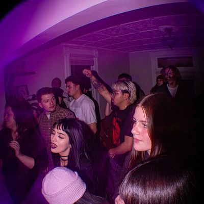 Garf Artfunkel House