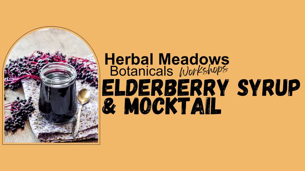 Elderberry Syrup & Mocktails Workshop