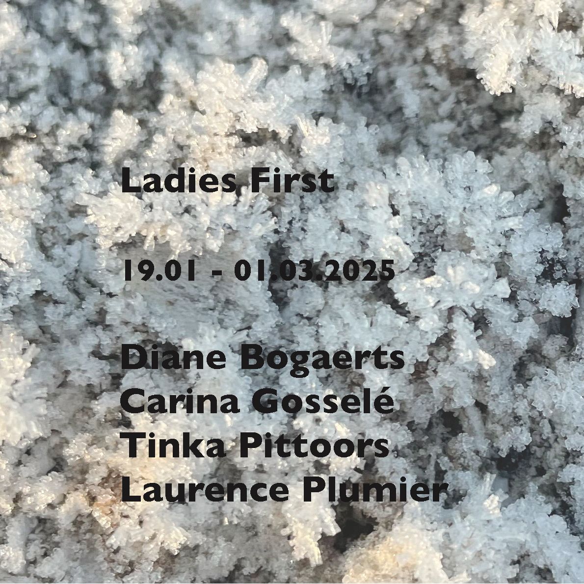 VERNISSAGE | LADIES FIRST | Diane Bogaerts, Carina Gossel\u00e9, Tinka Pittoors, Laurence Plumier 