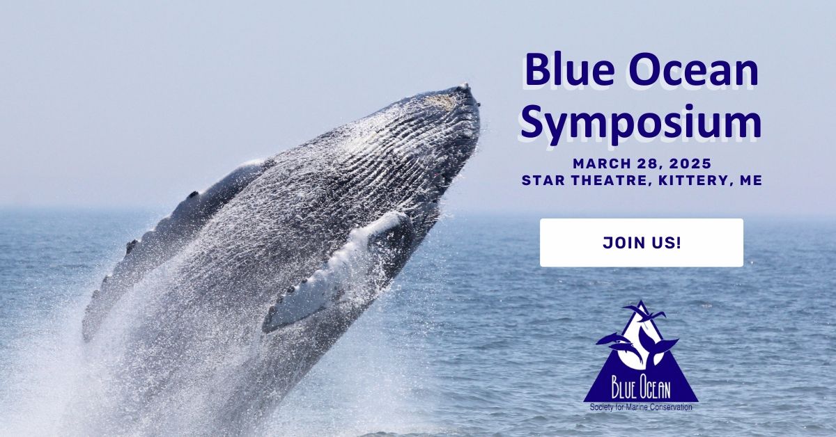 Blue Ocean Symposium