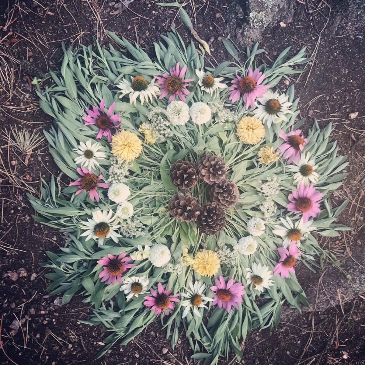 Womens Garden Wellness Series: Summer Herbal Wisdom, Earth Dance & Nature Based Ritual Arts