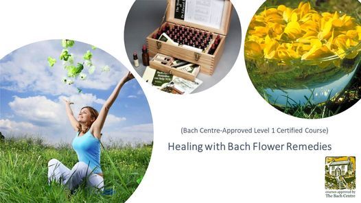 Healing with Bach Flower Remedies (Certified Bach Level 1 Online Course)
