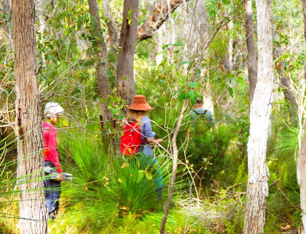 Mindful Walking Weekend at Fair Harvest Permaculture March 2025