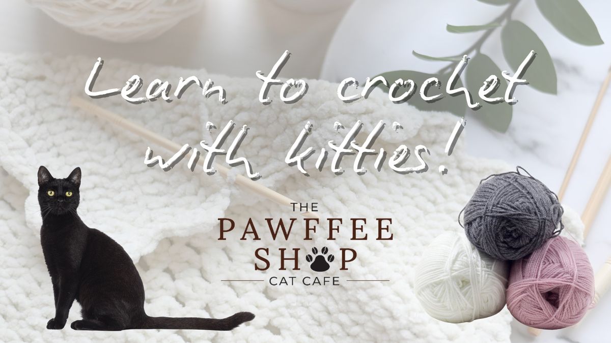 Learn To Crochet With Kitties (Intro to Amigurumi Stingray)