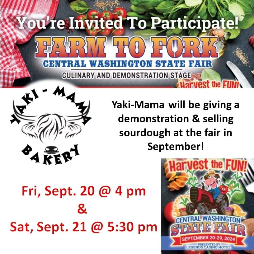 Yaki-Mama @ The Fair