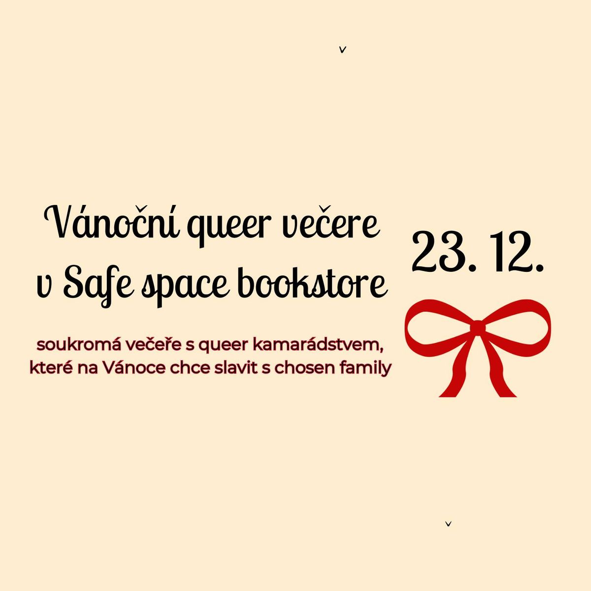 V\u00e1no\u010dn\u00ed queer ve\u010de\u0159e v Safe space bookstore