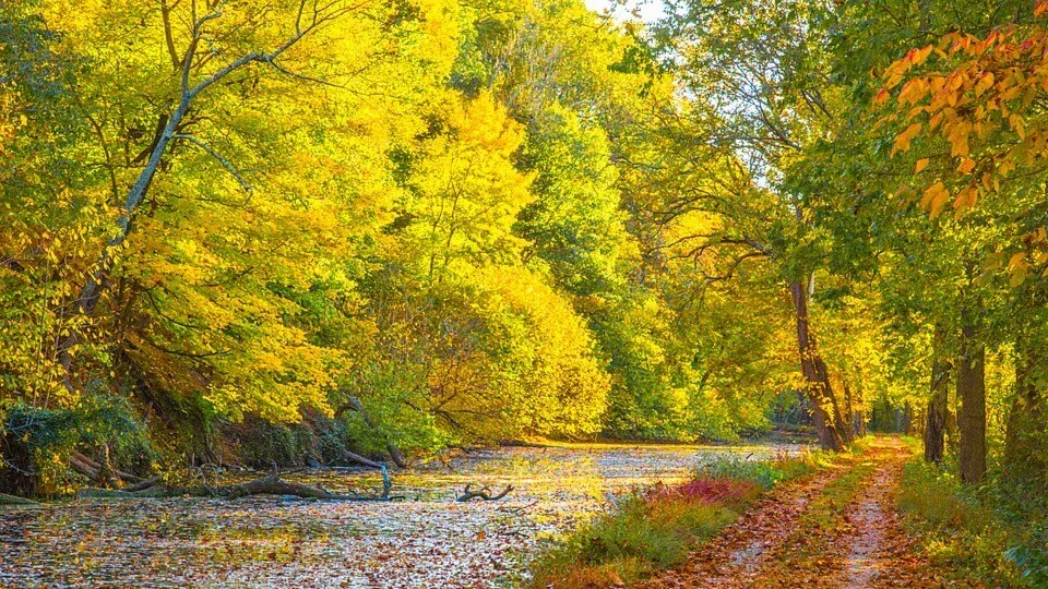 Snyder's Landing C&O Canal Hike