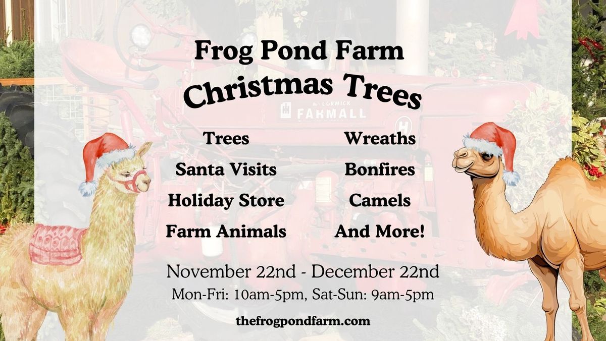 Opening Weekend for Frog Pond Christmas Tree Farm!