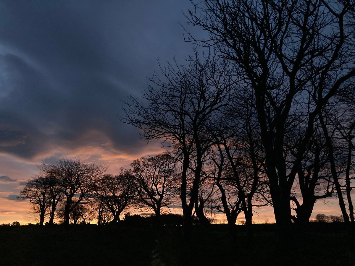 Beginnings: A Day of Mindfulness with the Edinburgh Wild Geese Sangha