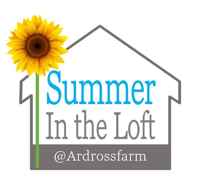 Summer in the Loft 