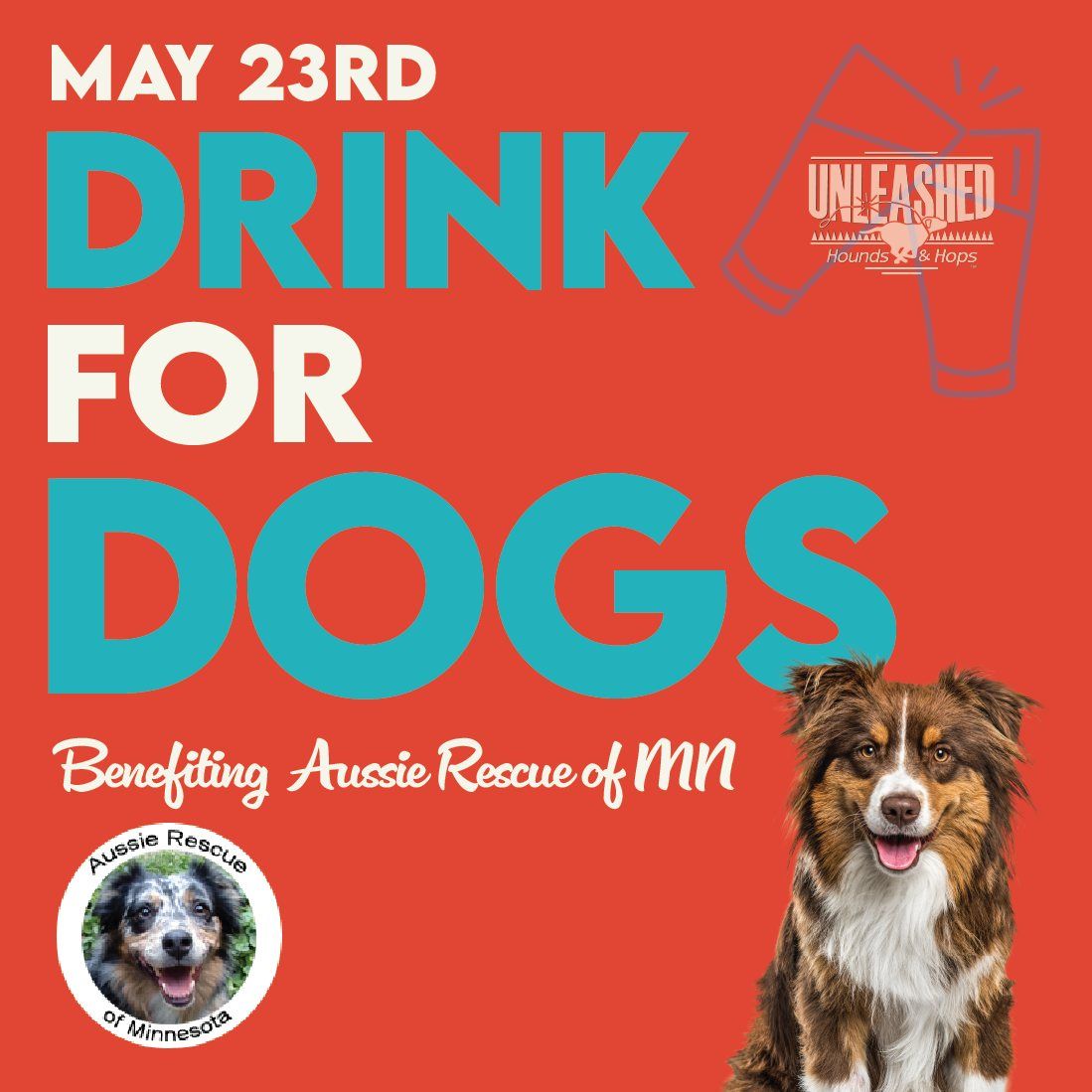Drink for Dogs - Aussie Rescue of MN