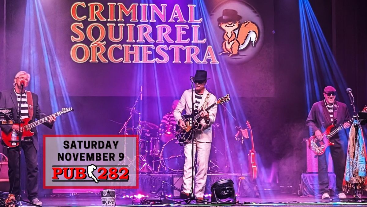 Criminal Squirrel Orchestra