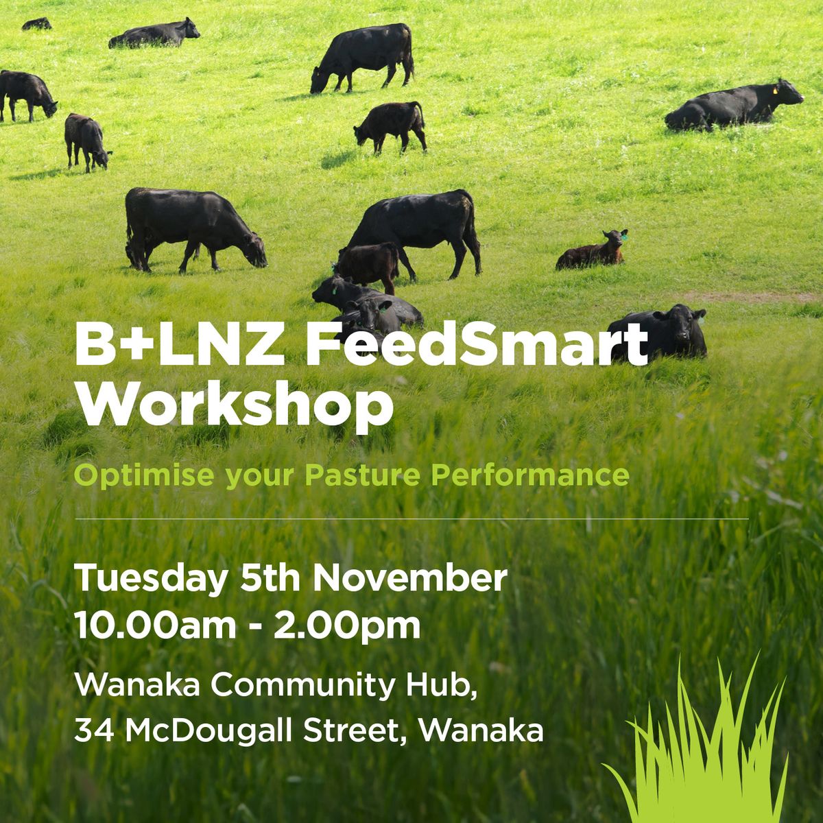 B+LNZ Feedsmart Wanaka: Optimise your Pasture Performance