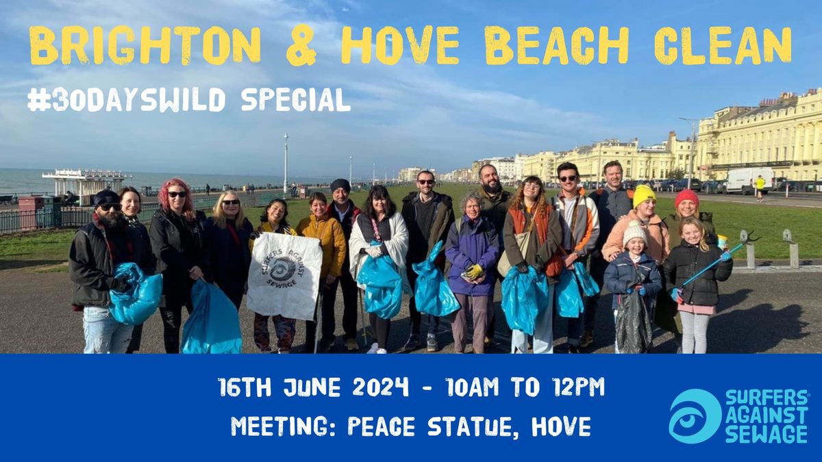 Brighton and Hove SAS beach clean - #30DaysWild special