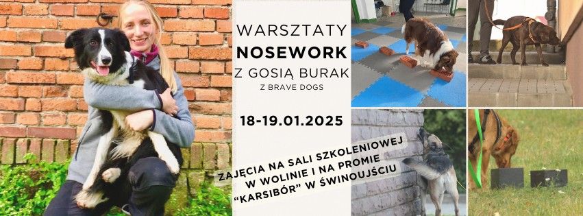 Dwudniowe warsztaty NOSEWORK z Gosi\u0105 Burak - Wolin\/\u015awinouj\u015bcie