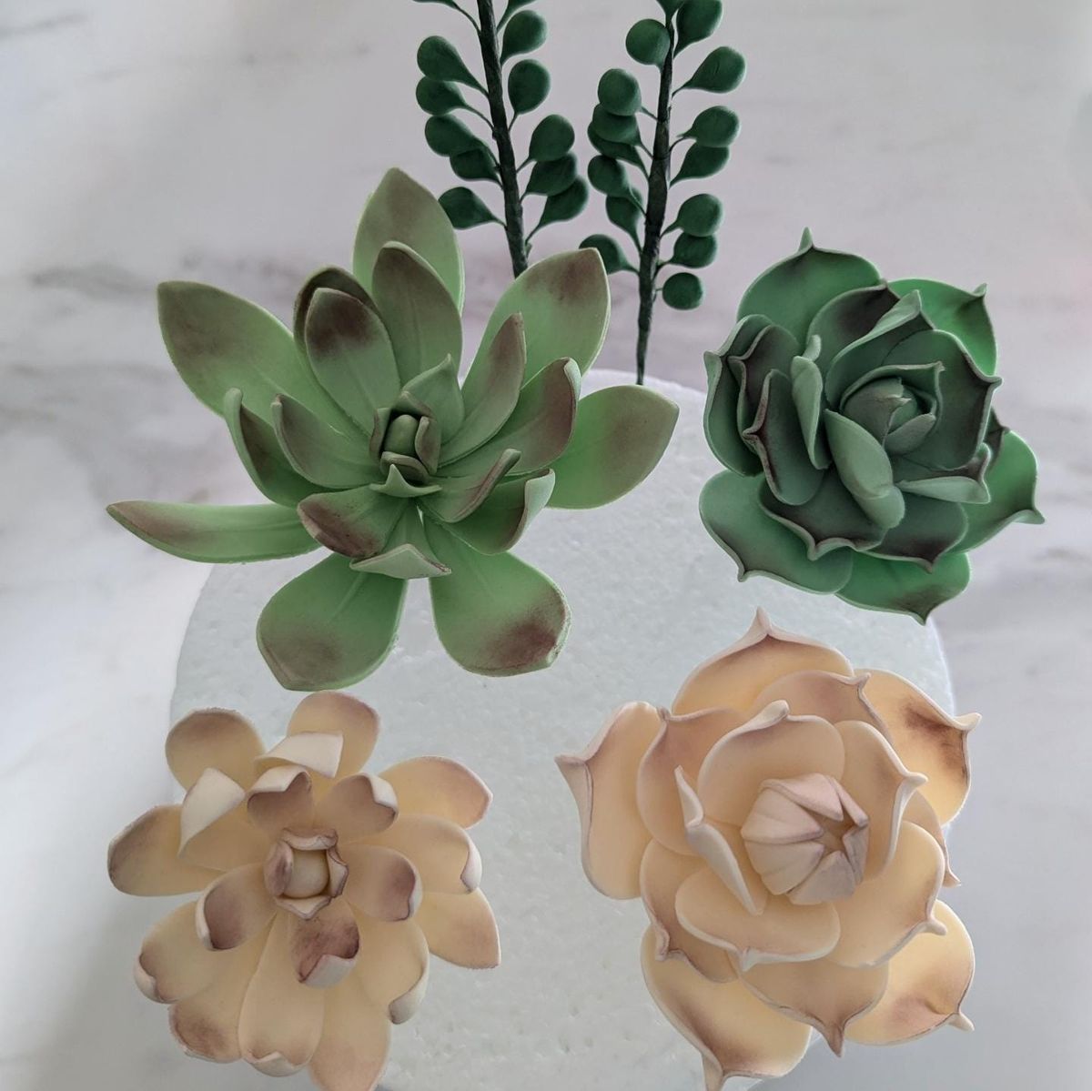 Sugar Succulents Workshop 