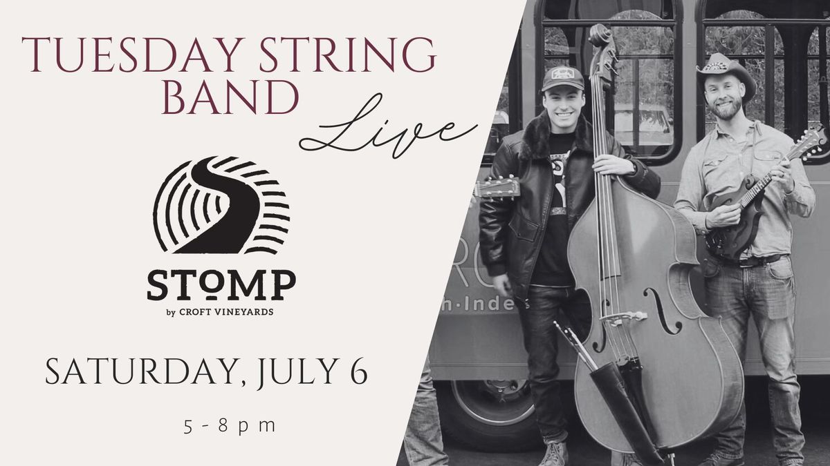 Tuesday String Band Live