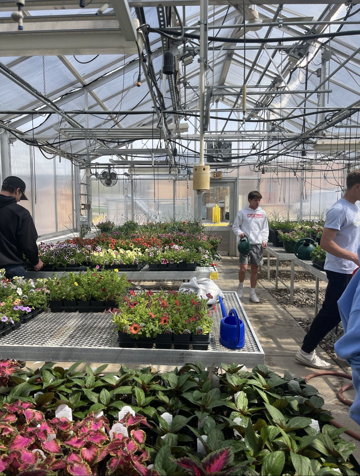 \ud83c\udf31Baraboo FFA Plant Sale\ud83c\udf3c