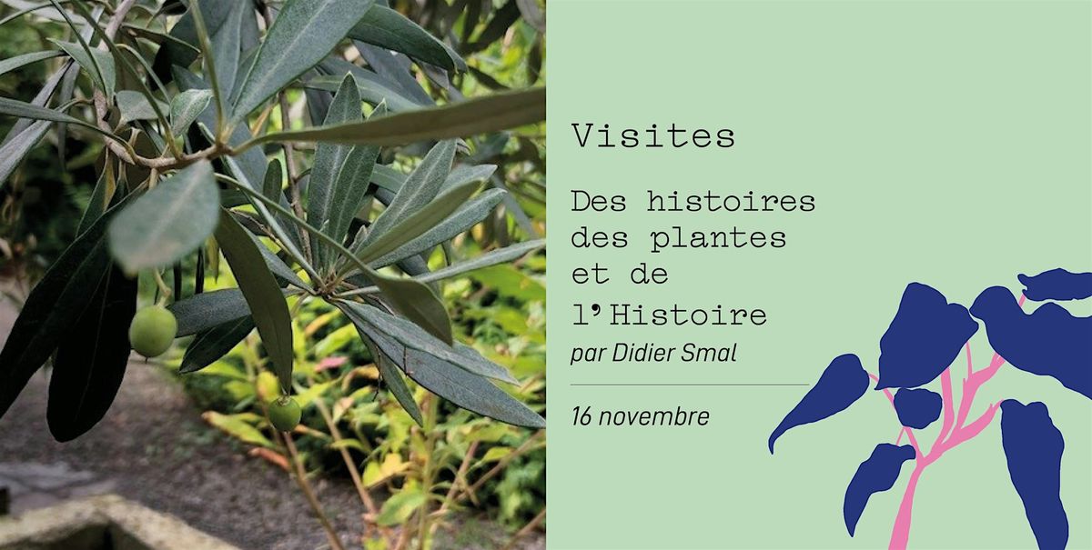 Des histoires de plantes et de l'Histoire