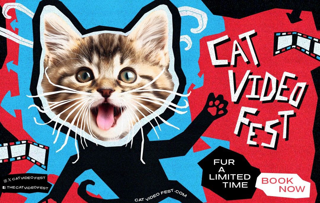 Cat Video Fest