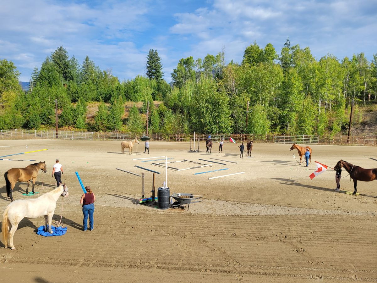 Trail BC Horsemanship Clinic