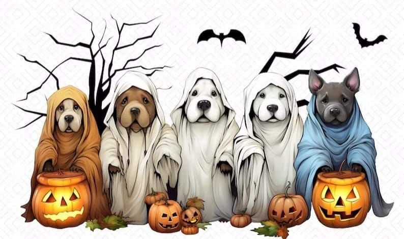 Paris 2nd Annual Howl-een Haunt Pack Walk & Dog Costume Contest in Support of Sato Saved!