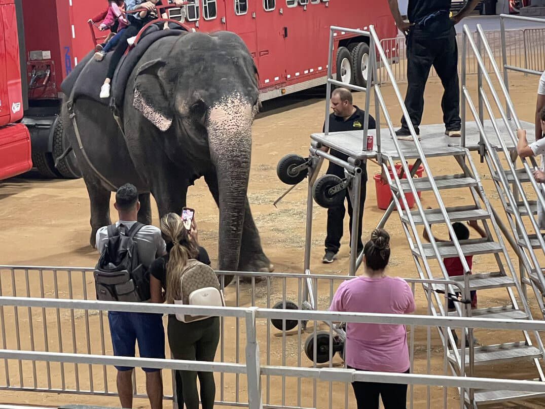 Loomis Bros Circus at Acadia Rice Arena