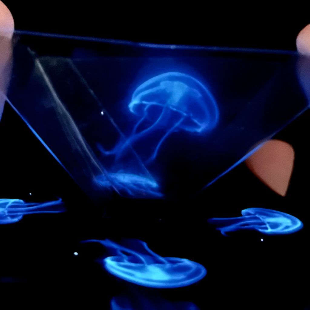 Make Your Own Hologram with Kristina Pulejkova