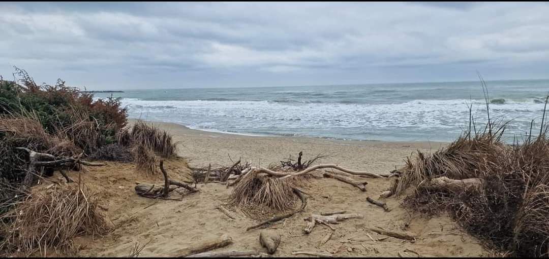 Trekk in SAN ROSSORE fino al mare 