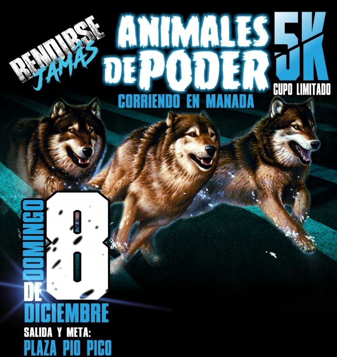 ANIMALES DE PODER 5K RENDIRSE JAMAS 