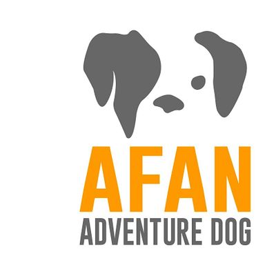 Afan Adventure Dog