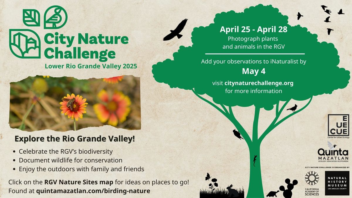 City Nature Challenge 2025: Lower Rio Grande Valley